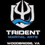 Logo for Trident Martial Arts